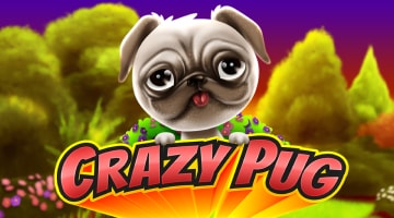 Crazy Pug logo